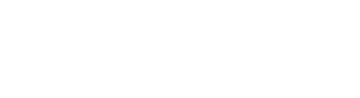 Hollywood Smile Istanbul